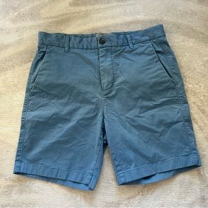 Everlane Mens Cotton Chino Sky Blue Shorts Size 30
